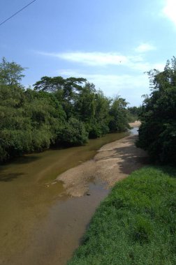 Ormanda güzel bir şelale