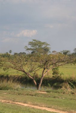 İsrail 'in kuzeyindeki ölü nehir vadisinin güzel manzarası