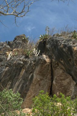 Doğal manzaranın güzel manzarası