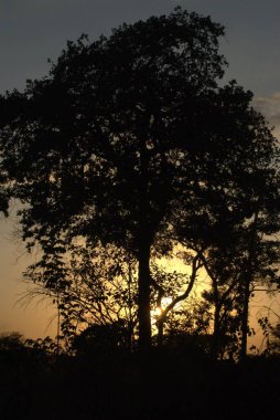 Dağlarda güzel bir gün batımı