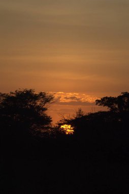 Denizin üzerinde güzel bir gün batımı