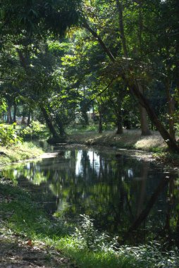 Parkın güzel manzarası
