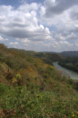 Dağlardaki nehir ve ağaçların manzarası