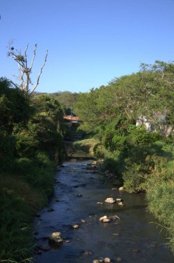 Doğa sahnesinin resimsel görüntüsü