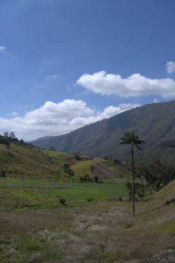 Dağların güzel manzarası