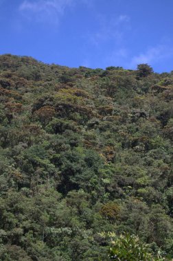 Dağların manzarası