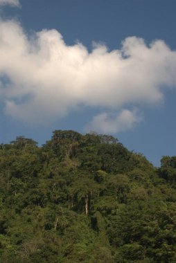 Sabahleyin dağların manzarası