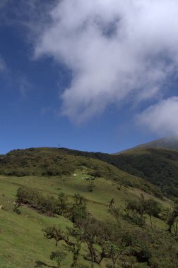 Dağları olan güzel bir manzara. Doğa, seyahat