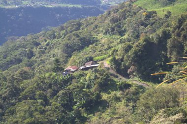 Arkasında bir dağ olan güzel bir manzara.