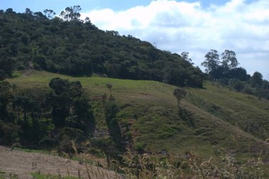Brezilya eyaletinin kuzeyinde bir dağın manzarası