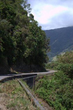 Ormandaki dağ yolu.