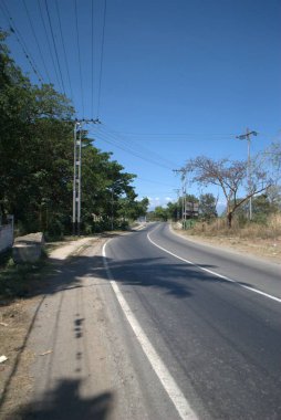 Ormanda ağaçlarla dolu boş bir yol.