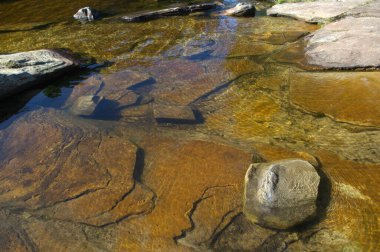 Ormanda güzel bir şelale