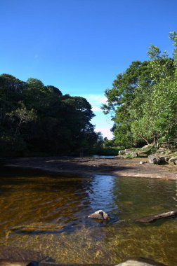 Nehir ve ormanlı güzel bir manzara.