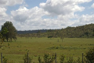 Ülkenin manzarası.
