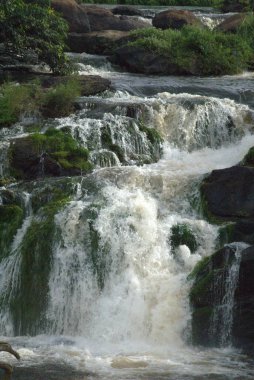 Ormanda güzel bir şelale