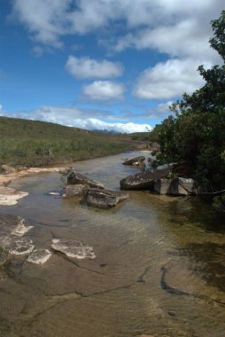 Ormanda şelalesi olan güzel bir manzara.
