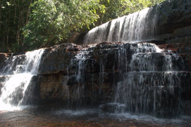 Ormanda şelale, doğa bitki örtüsü