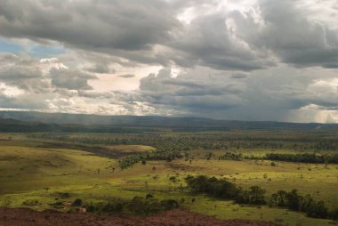 Dağlarda bir ağacı olan güzel bir manzara.