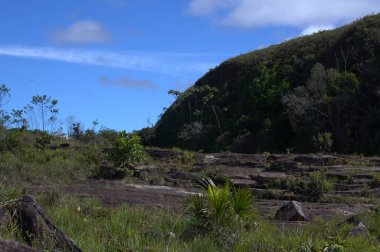 Doğanın güzel manzarası