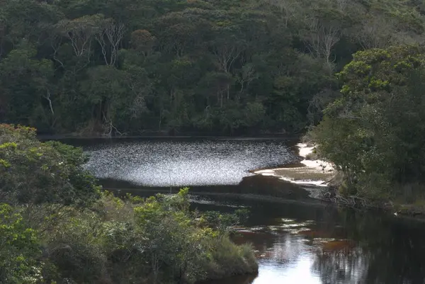 Parktaki nehrin güzel manzarası