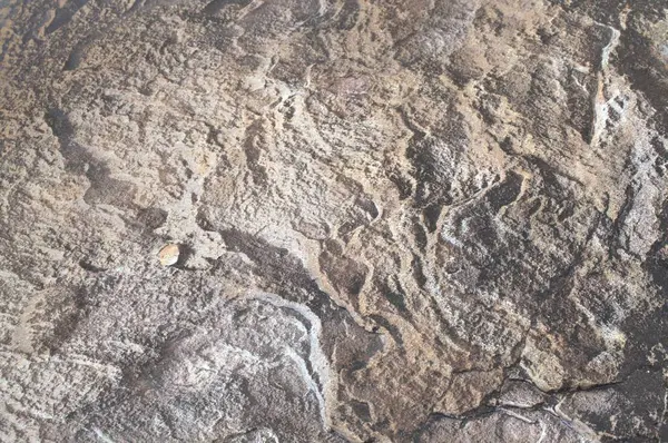 Çatlakları ve çizikleri olan taş bir duvarın dokusu arka plan olarak kullanılabilir.