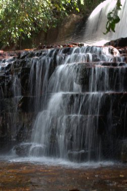 Ormanda güzel bir şelale