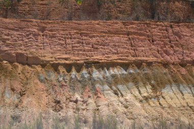 Ormandaki nehrin güzel manzarası.