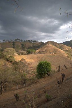 Ağacı ve dağı olan güzel bir manzara.