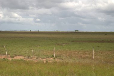 Doğanın güzel manzarası