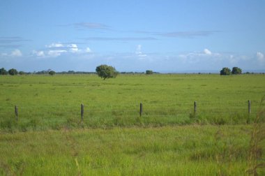 Brezilya 'nın kuzeyindeki manzara