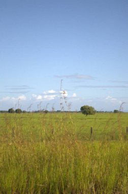 Çimen tarlası ve mavi gökyüzü olan güzel bir manzara.