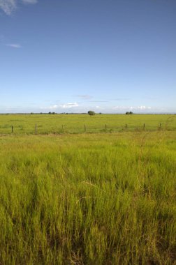 Kırsal alanda yeşil alan