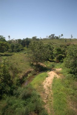 Yeşil bir tarlanın güzel bir görüntüsü.