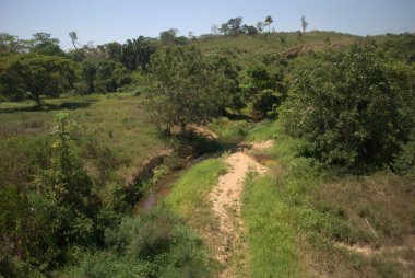 Doğanın güzel manzarası