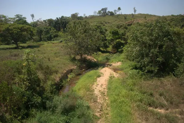 Doğanın güzel manzarası