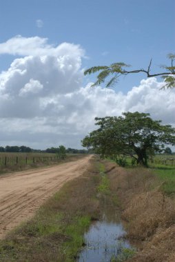 Kırsal yol Brezilya