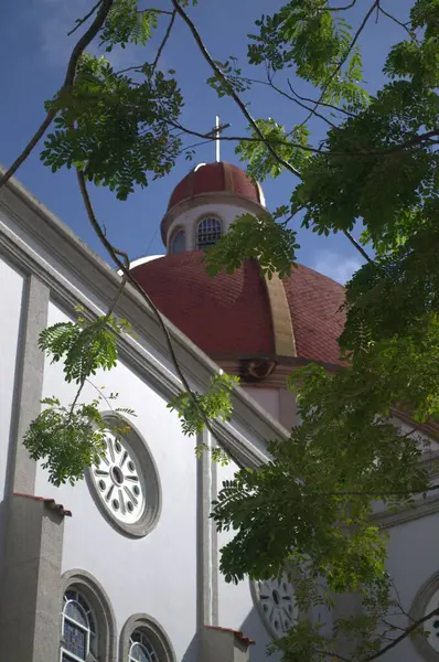 Brezilya 'daki hanımefendinin kilisesi.