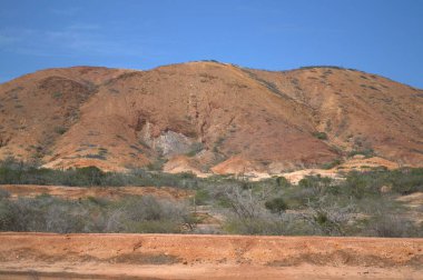 Yeşil ağacı ve mavi gökyüzü olan güzel bir dağın dikey görüntüsü.