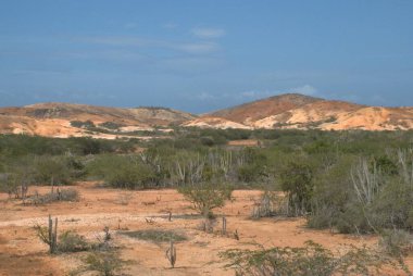 Çölün güzel manzarası