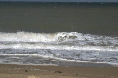 Deniz kıyısının güzel manzarası