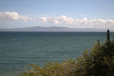 Denize ve dağlara bak.