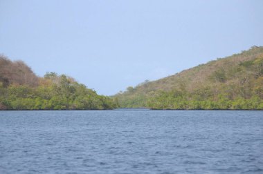 Yeşil ağaçlı güzel deniz manzarası, mavi gökyüzü.