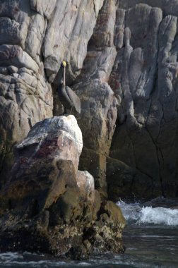 Güzel deniz manzarası