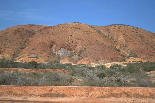 Yeşil ağacı ve mavi gökyüzü olan güzel bir dağın dikey görüntüsü.