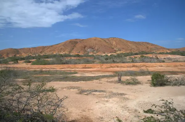 İsrail 'in kuzeyindeki ölü deniz vadisinin güzel çölü.