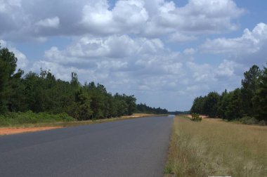 Ağaçların arasından yol manzarası.