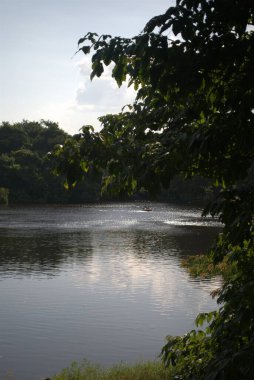 Ormandaki gölün güzel manzarası