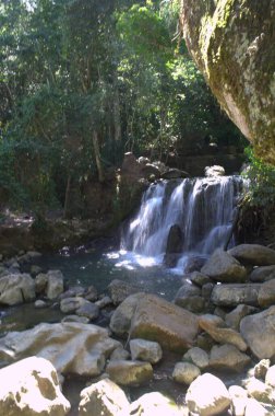 Ormanda güzel bir şelale