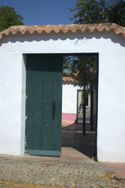 Venezuela 'daki katedral kilisesi.